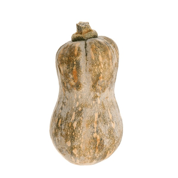 Bí ngô